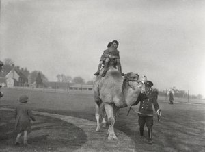 Un chameau arabe emmenant deux enfants pour une promenade au ZSL Whipsnade, mars 1932